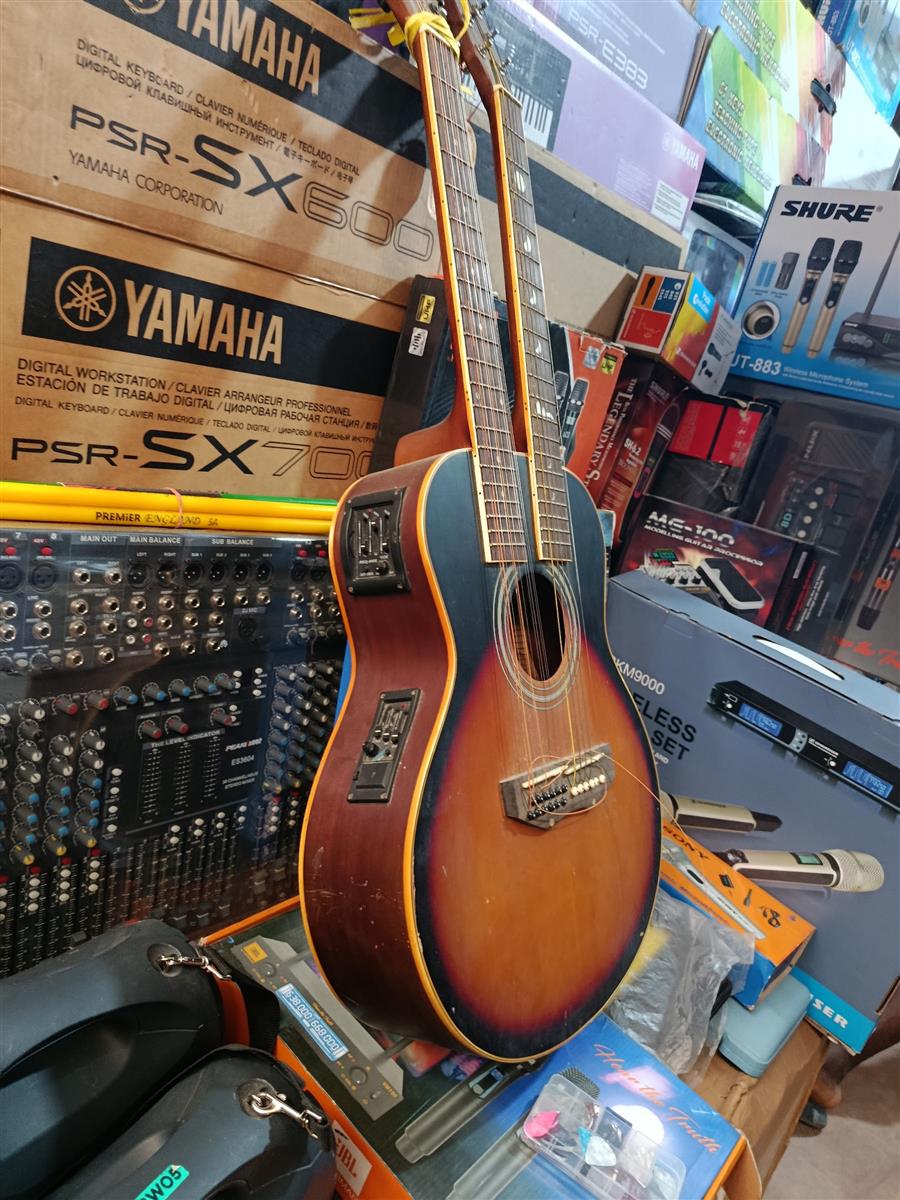 Professional double head semi acoustic