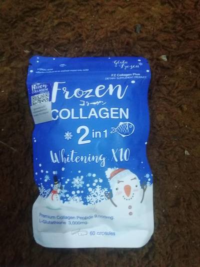 Frozen 2 in 1