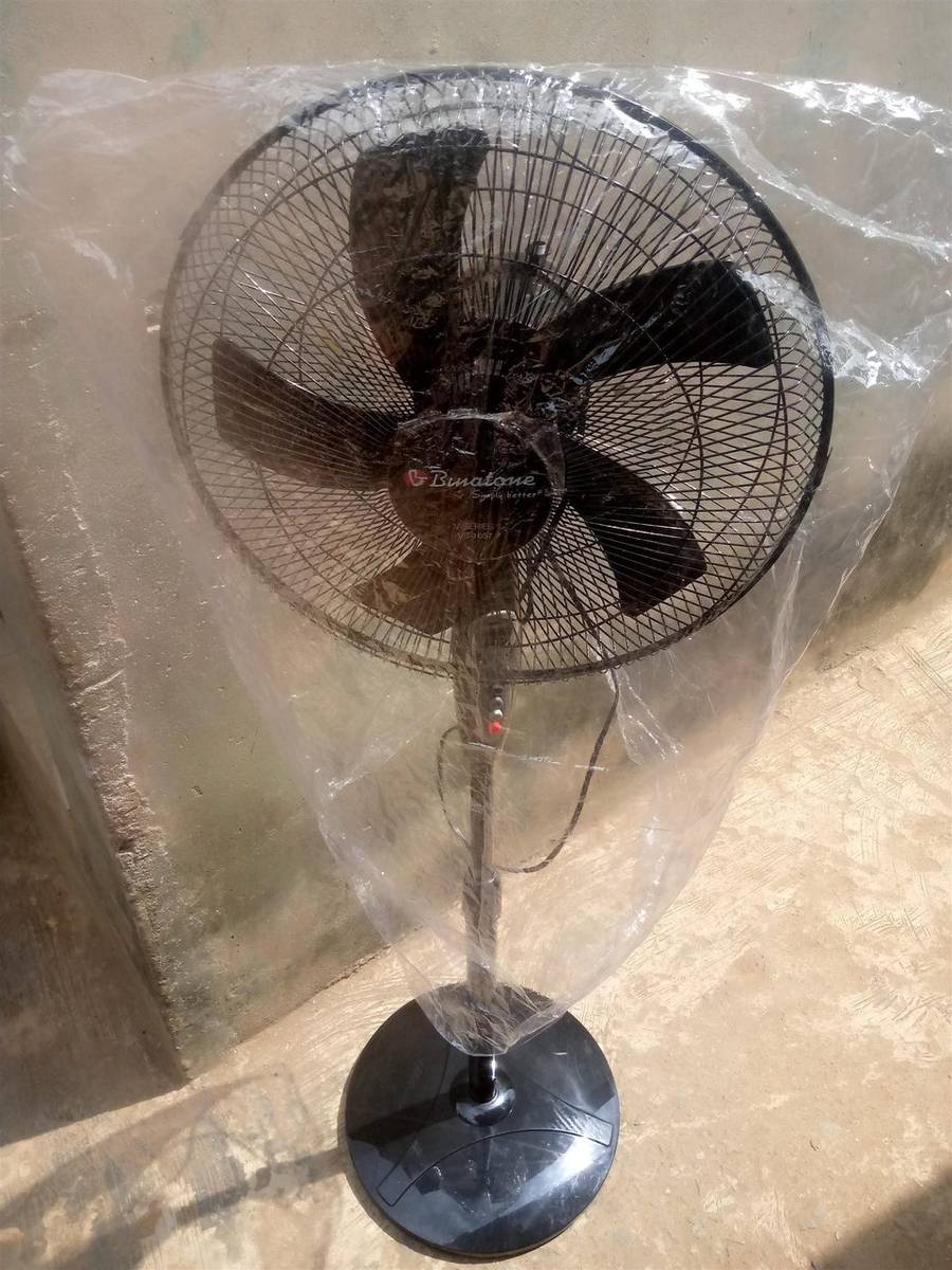 Fan