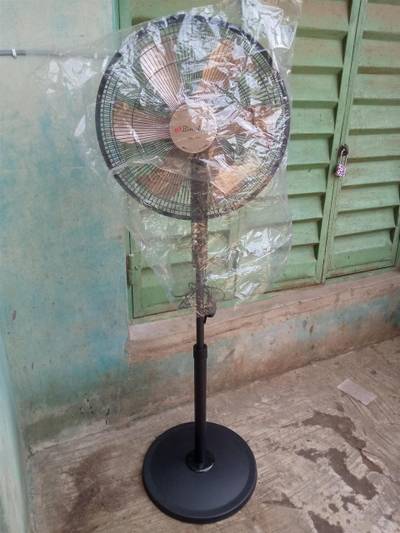 Standing Fan