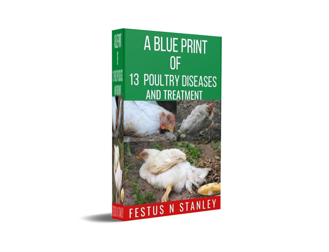 A BLUE PRINT OF 13 POULTRY DISEASES AND