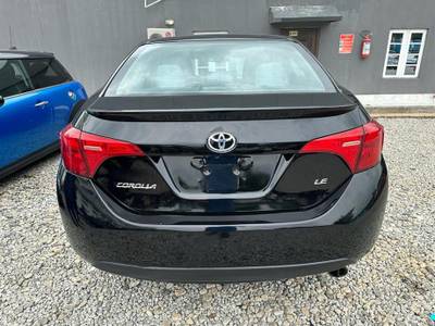 Corolla LE