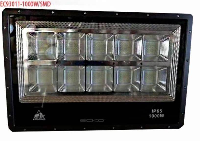1000w Watts Ecko floodlights