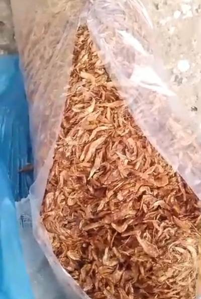 Quality Crayfish , Wholesale and Retail