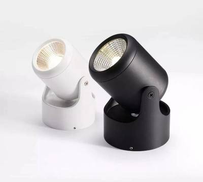 360 Adjustable wall light