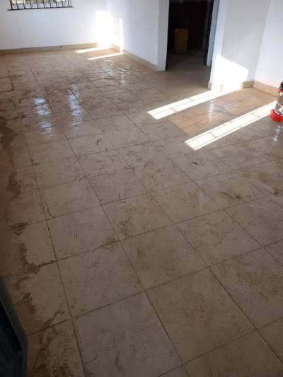 Sofa and house cleaning