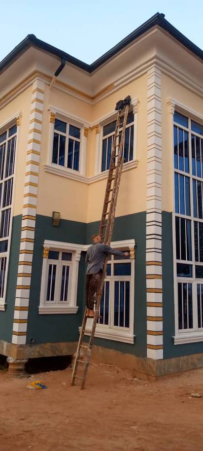 Professional Painting System