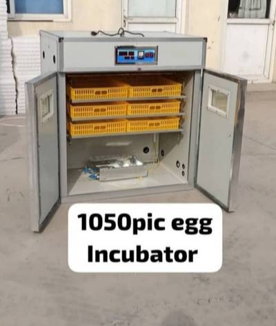 1050pic egg incubator machine available