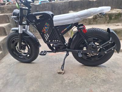 Fat tyre ebike 48v 800w 15A