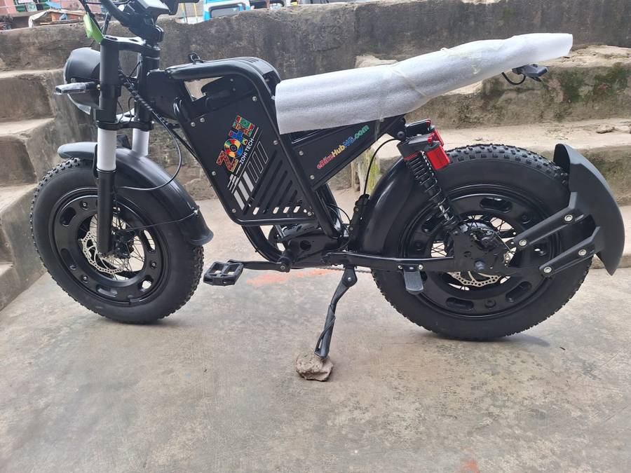 Fat tyre ebike 48v 800w 15A