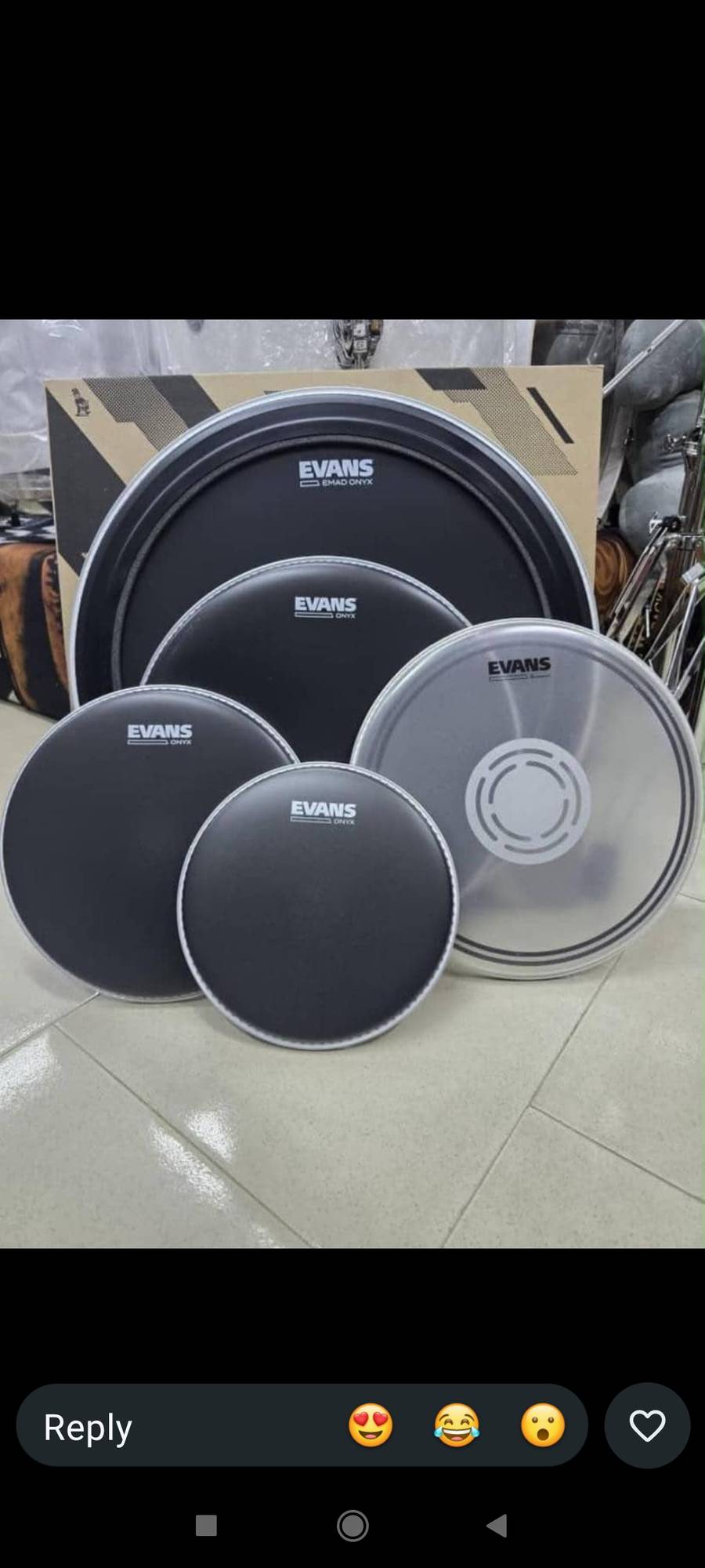 Evans Drum vellum