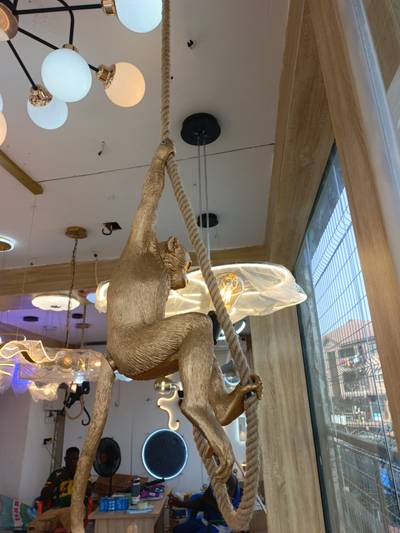 Monkey drop light available