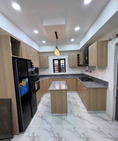 Elegant kitchen cabinets