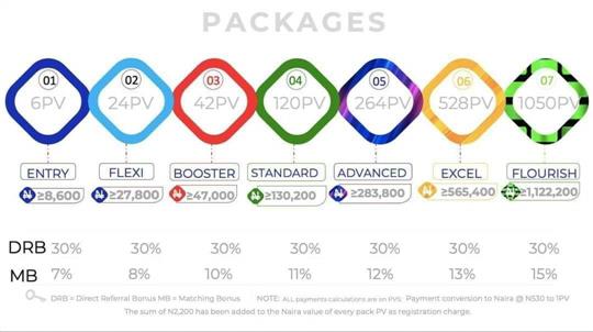 Multistream Network