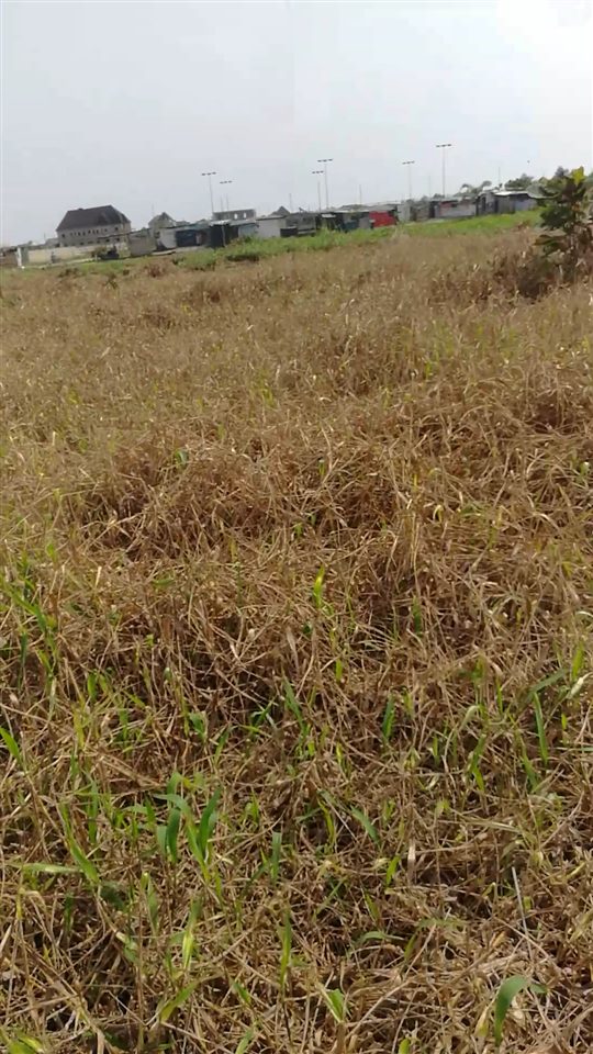 Own a plot(s) in a developed area @Amuwo Odofin Festac Lagos