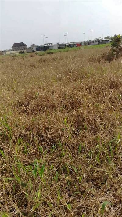 Own a plot(s) in a developed area @Amuwo Odofin Festac Lagos