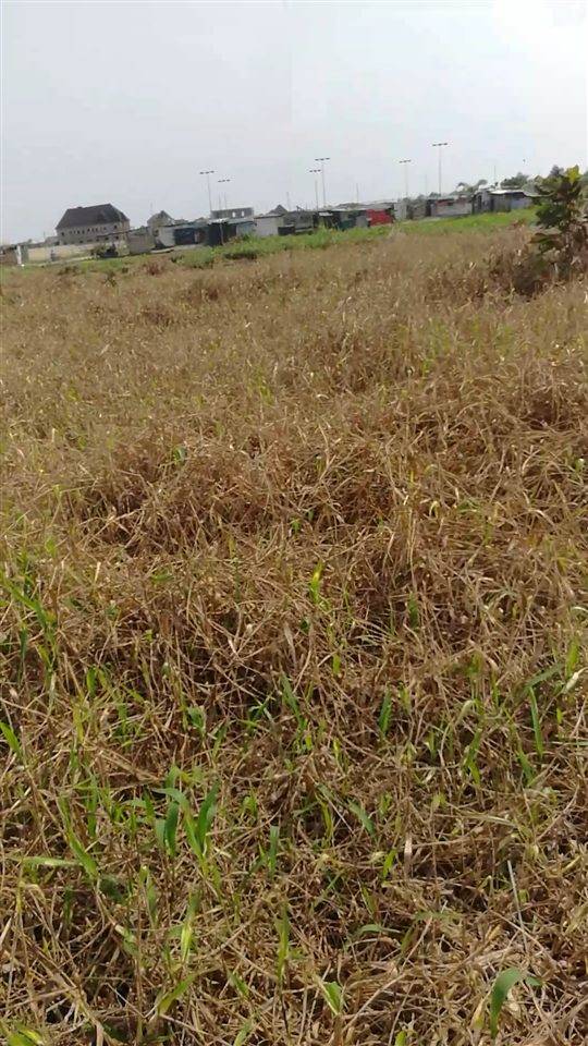 Own a plot(s) in a developed area @Amuwo Odofin Festac Lagos